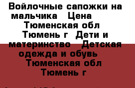 Войлочные сапожки на мальчика › Цена ­ 500 - Тюменская обл., Тюмень г. Дети и материнство » Детская одежда и обувь   . Тюменская обл.,Тюмень г.